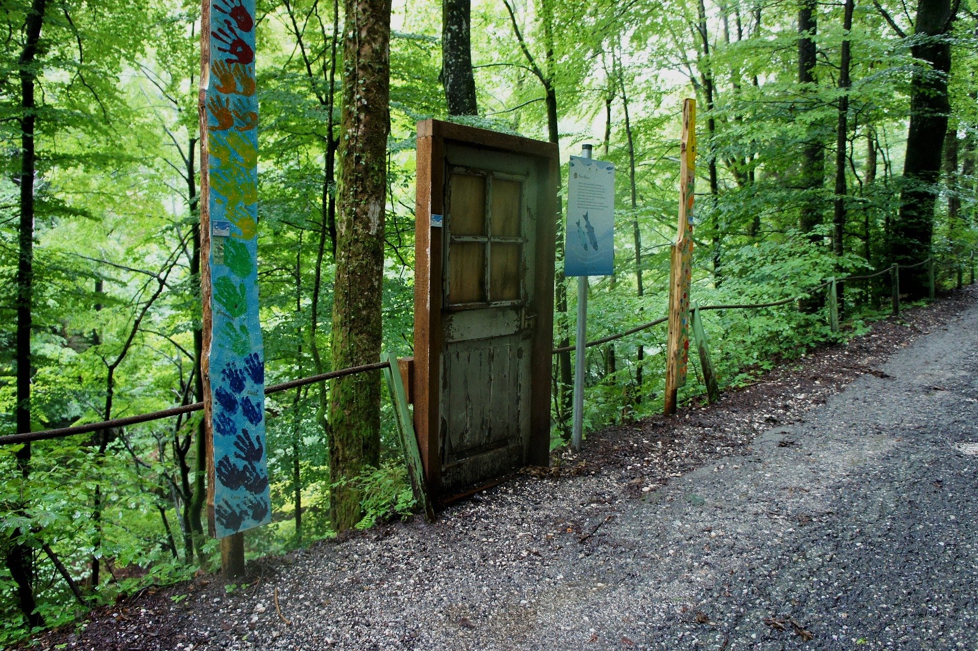 Tür in Wald