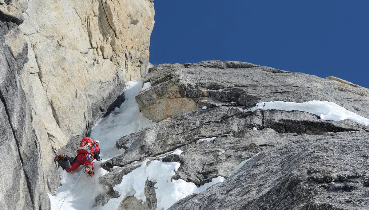 Moonflower | © Andi Dick