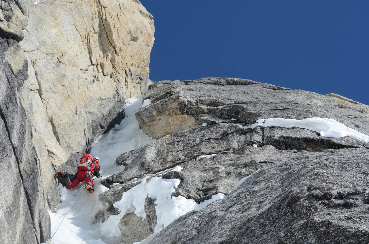 Moonflower | © Andi Dick