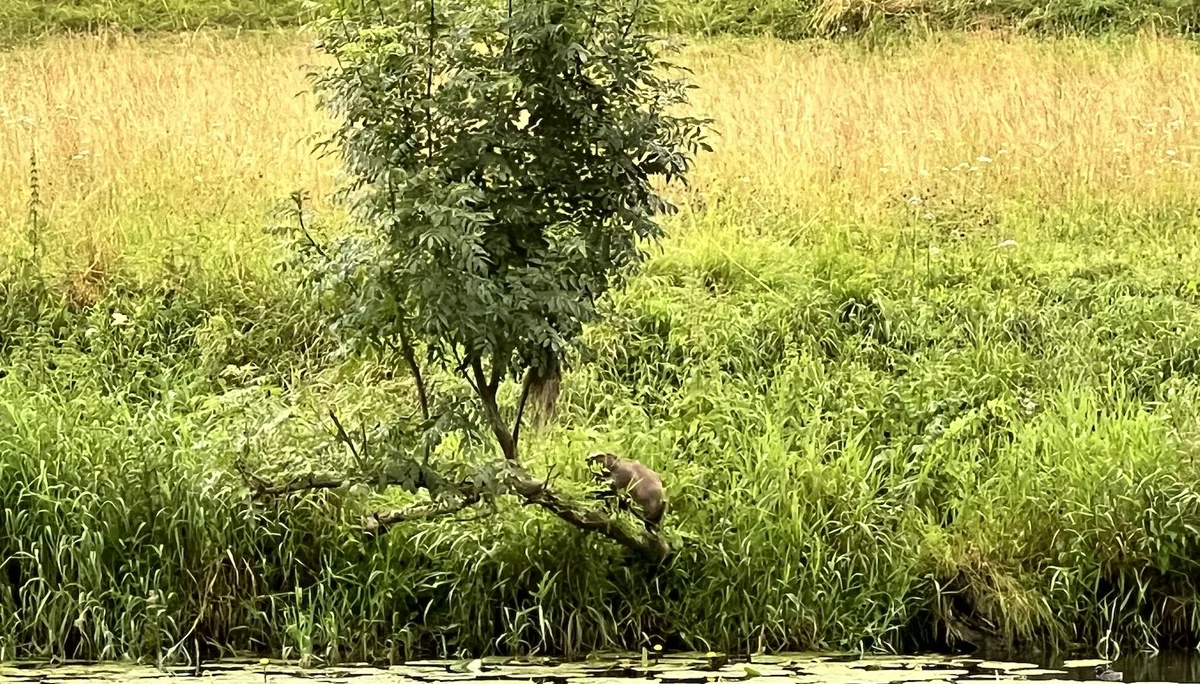 © DAV Sigmaringen/ Tobias Unterstenhöfer