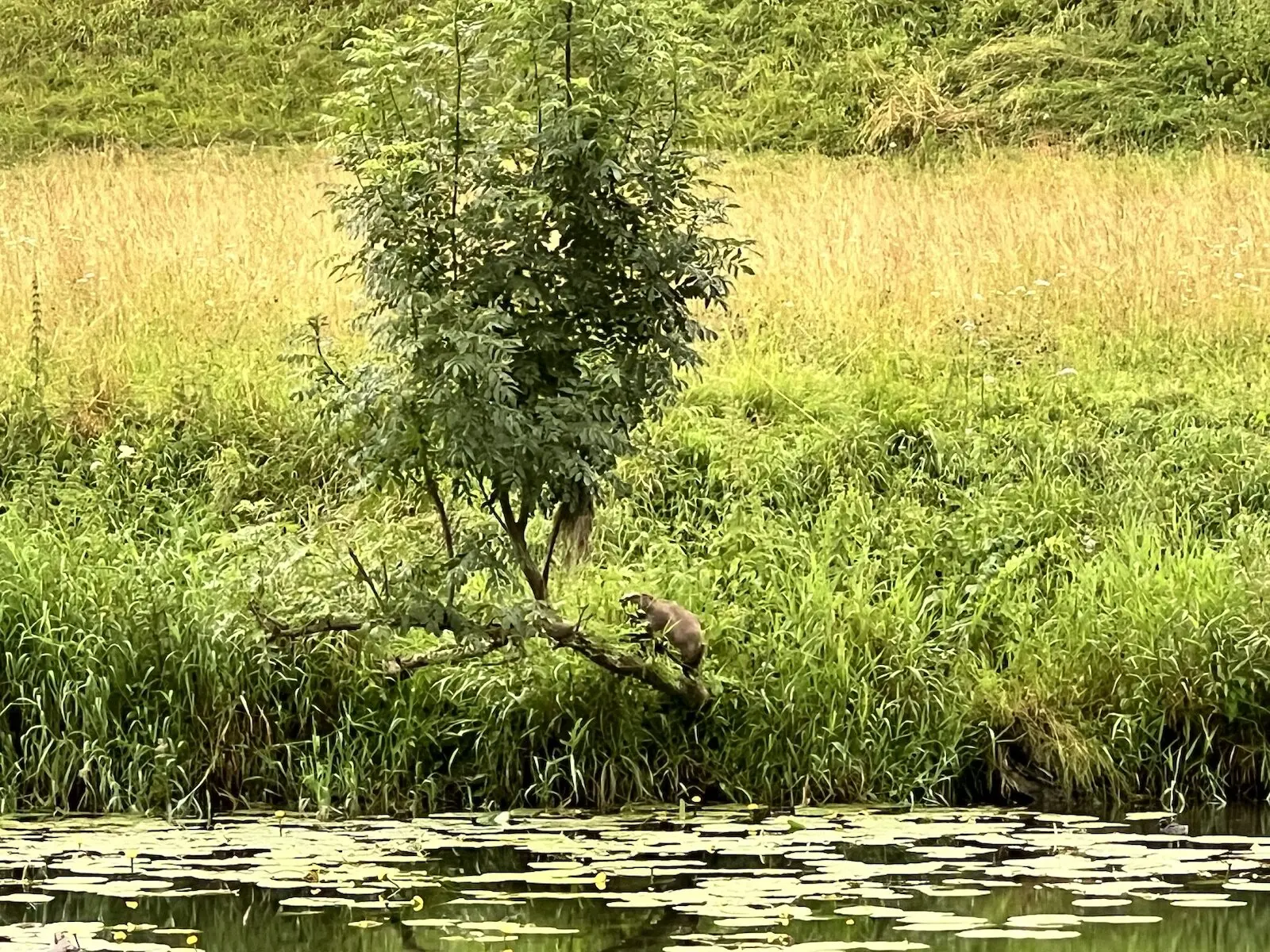 © DAV Sigmaringen/ Tobias Unterstenhöfer