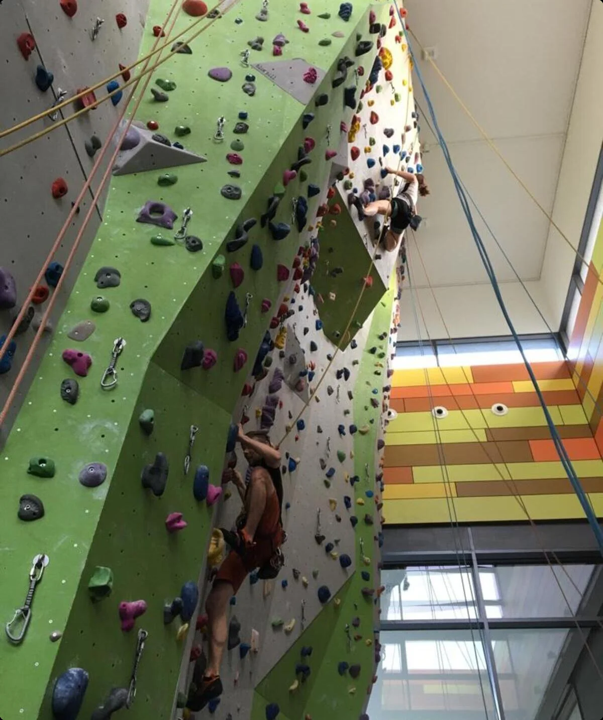 Kletterwand Liefrauenschule | © DAV Sigmaringen, Elena Tögel