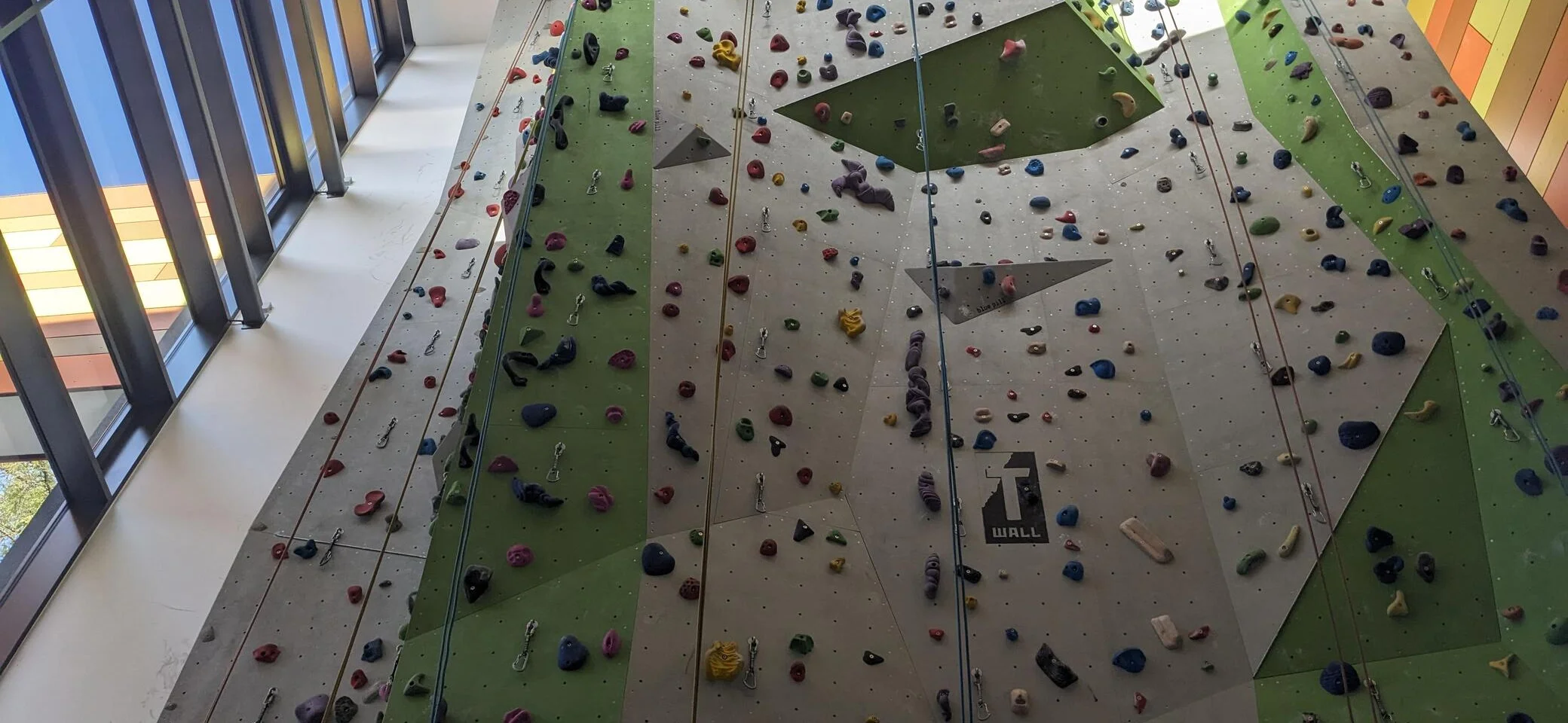 Kletterwand Liefrauenschule | © DAV Sigmaringen, Elena Tögel