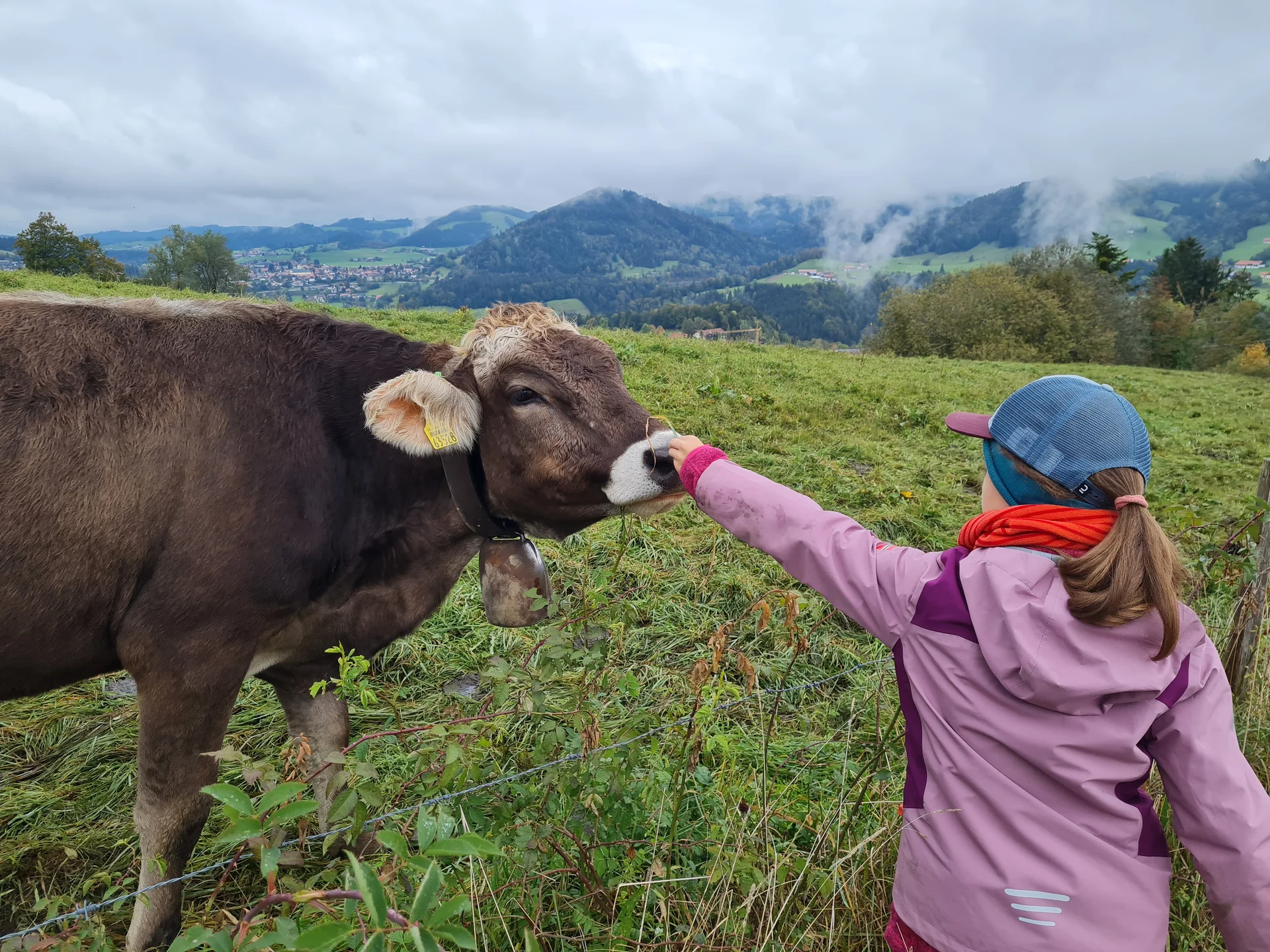 Ravensburger Haus 2024 | © DAV Sigmaringen / Christoph Griesser