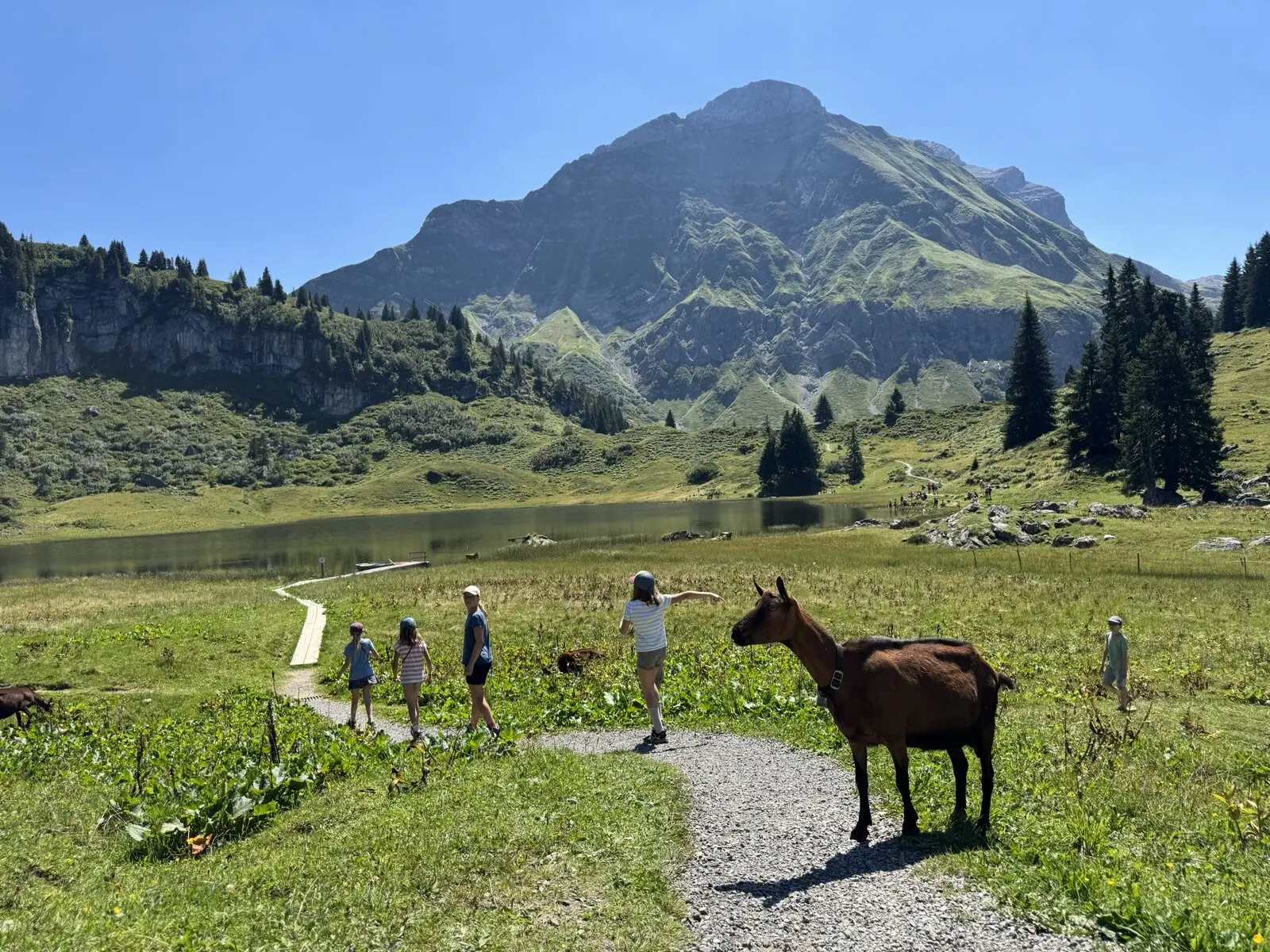 Almwochenende | © DAV Sigmaringen / Christoph Griesser