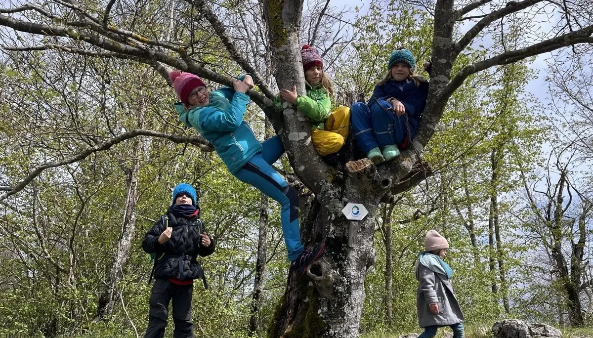 Erlebniswochenende Schaufelsen Donautal | © DAV Sigmaringen / Uwe Weber