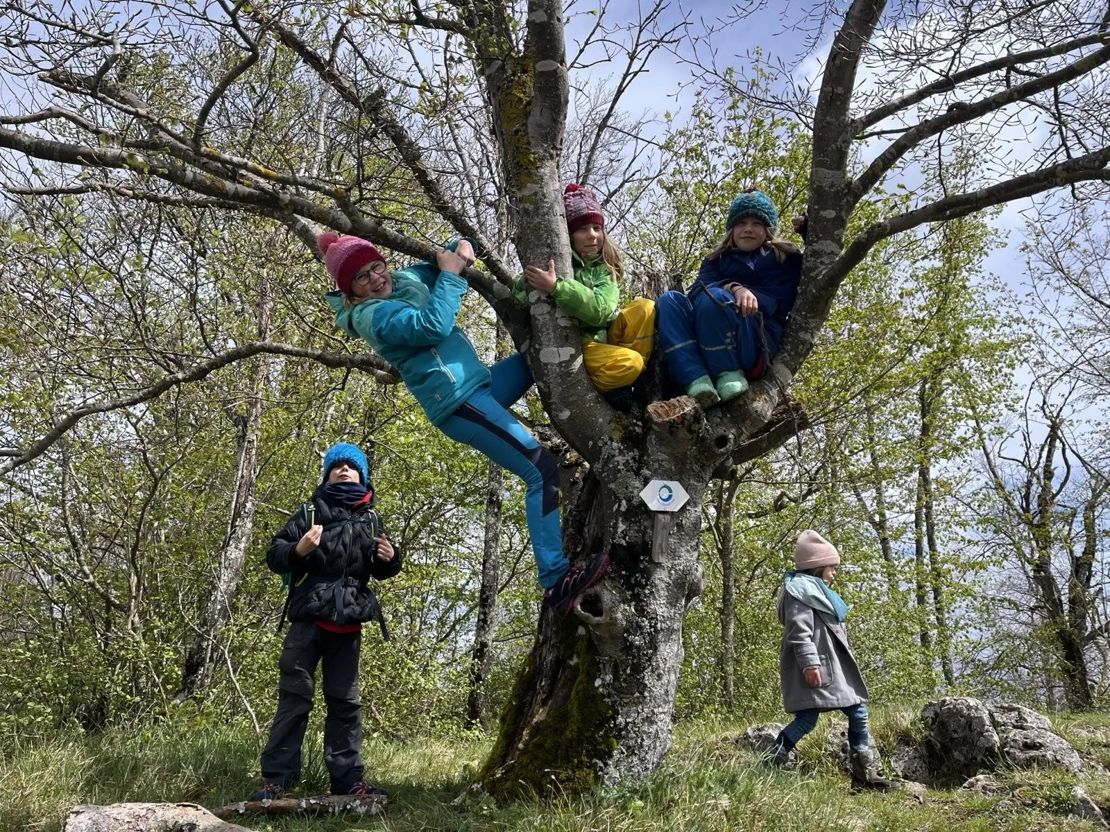 Erlebniswochenende Schaufelsen Donautal | © DAV Sigmaringen / Uwe Weber