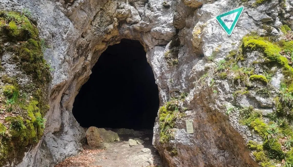 Erlebniswochenende Schaufelsen Donautal | © DAV Sigmaringen / Christoph Griesser