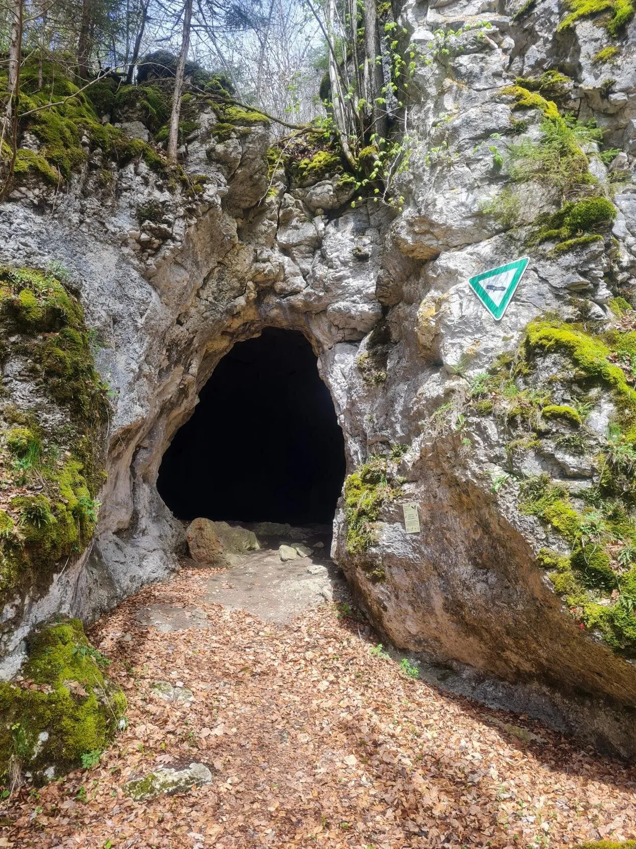 Erlebniswochenende Schaufelsen Donautal | © DAV Sigmaringen / Christoph Griesser