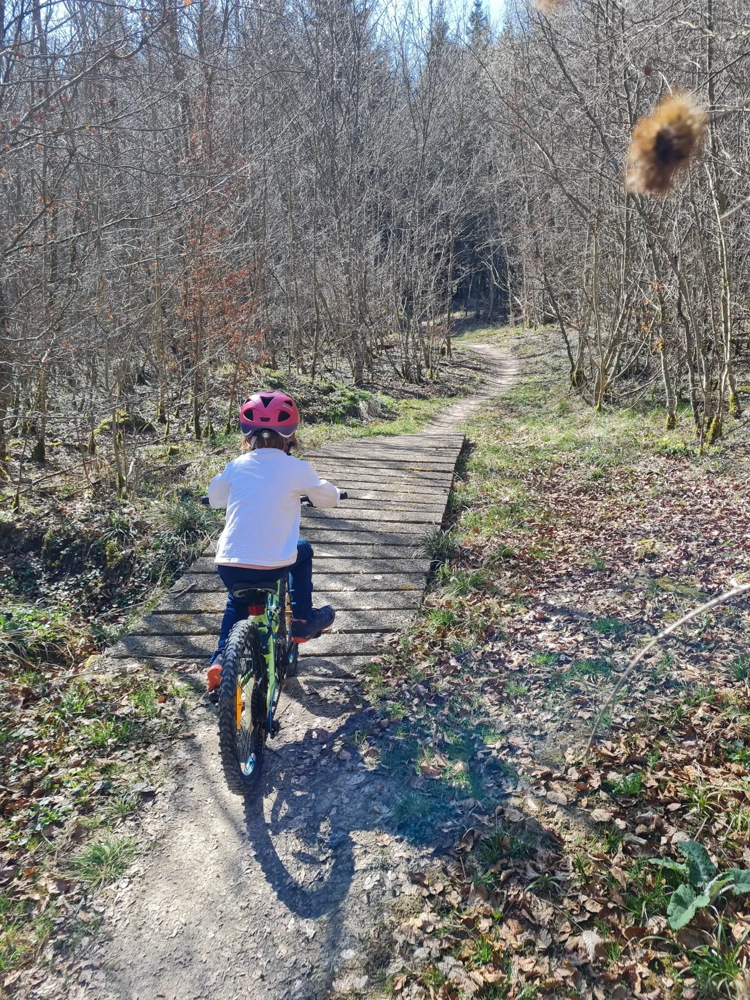 © DAV Sigmaringen / Christoph Griesser