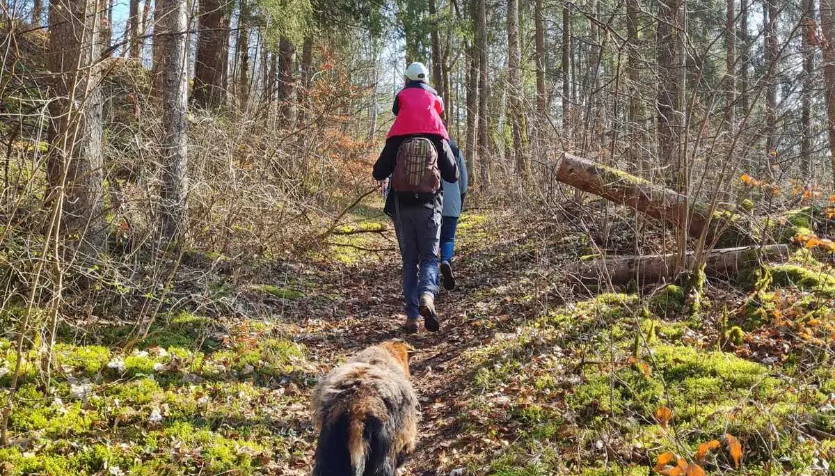 © DAV Sigmaringen / Christoph Griesser