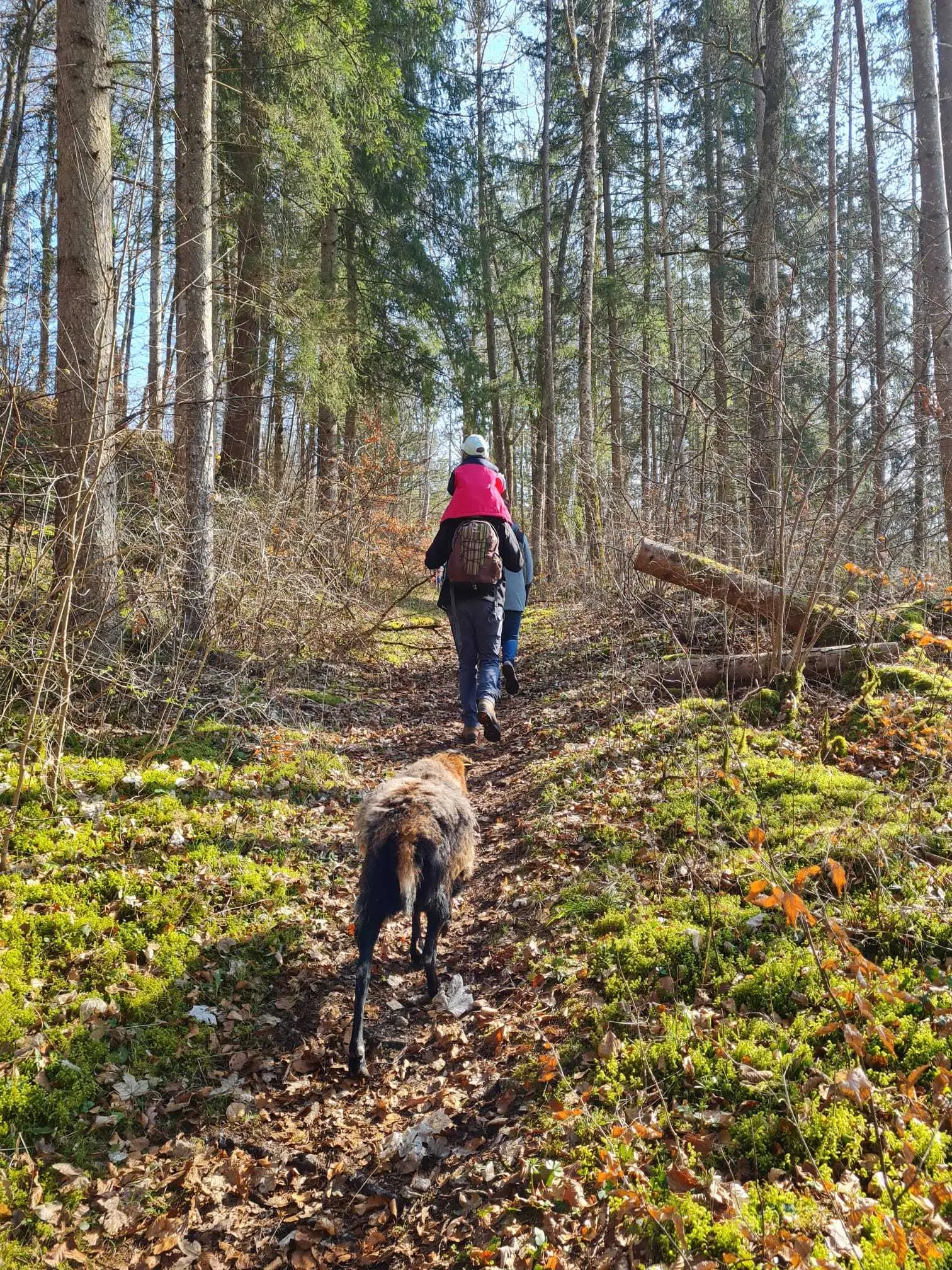 © DAV Sigmaringen / Christoph Griesser