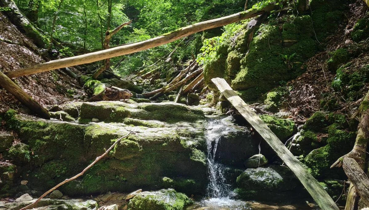 Schillerhöhle Familiengruppe | © DAV Sigmaringen / Christoph Griesser