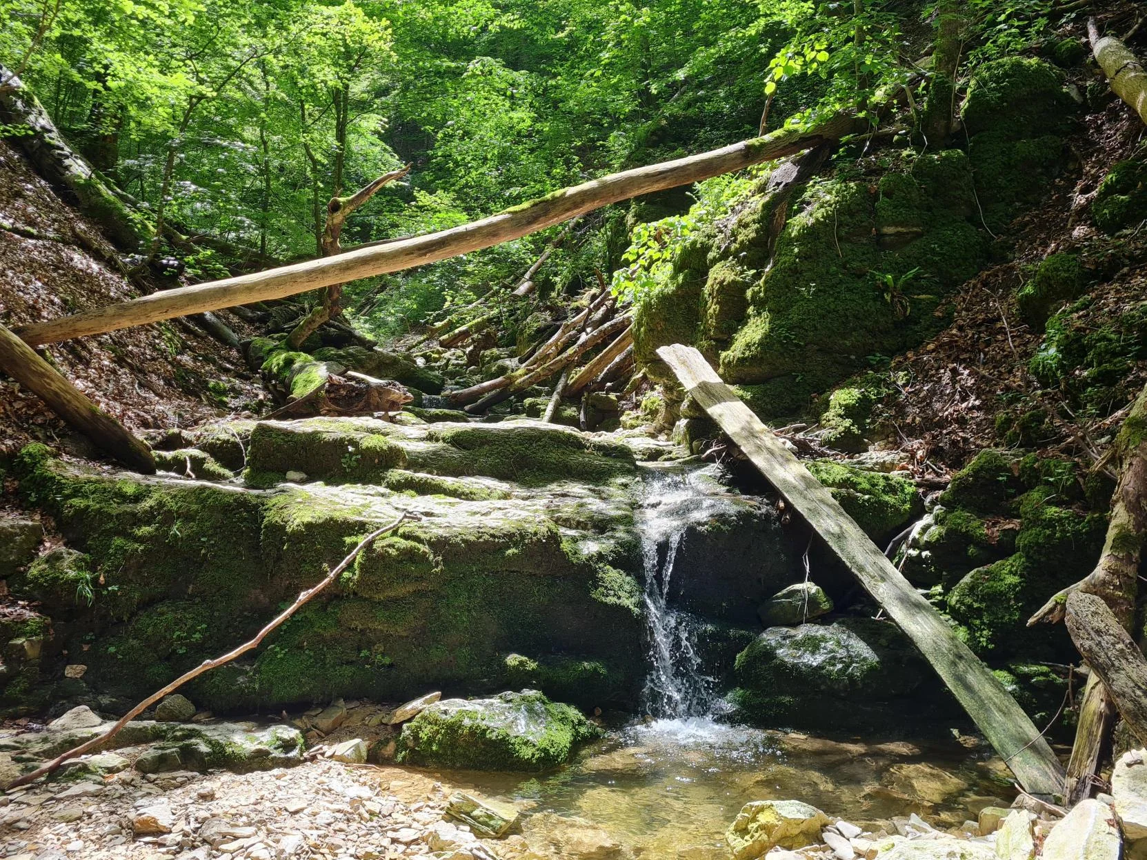 Schillerhöhle Familiengruppe | © DAV Sigmaringen / Christoph Griesser