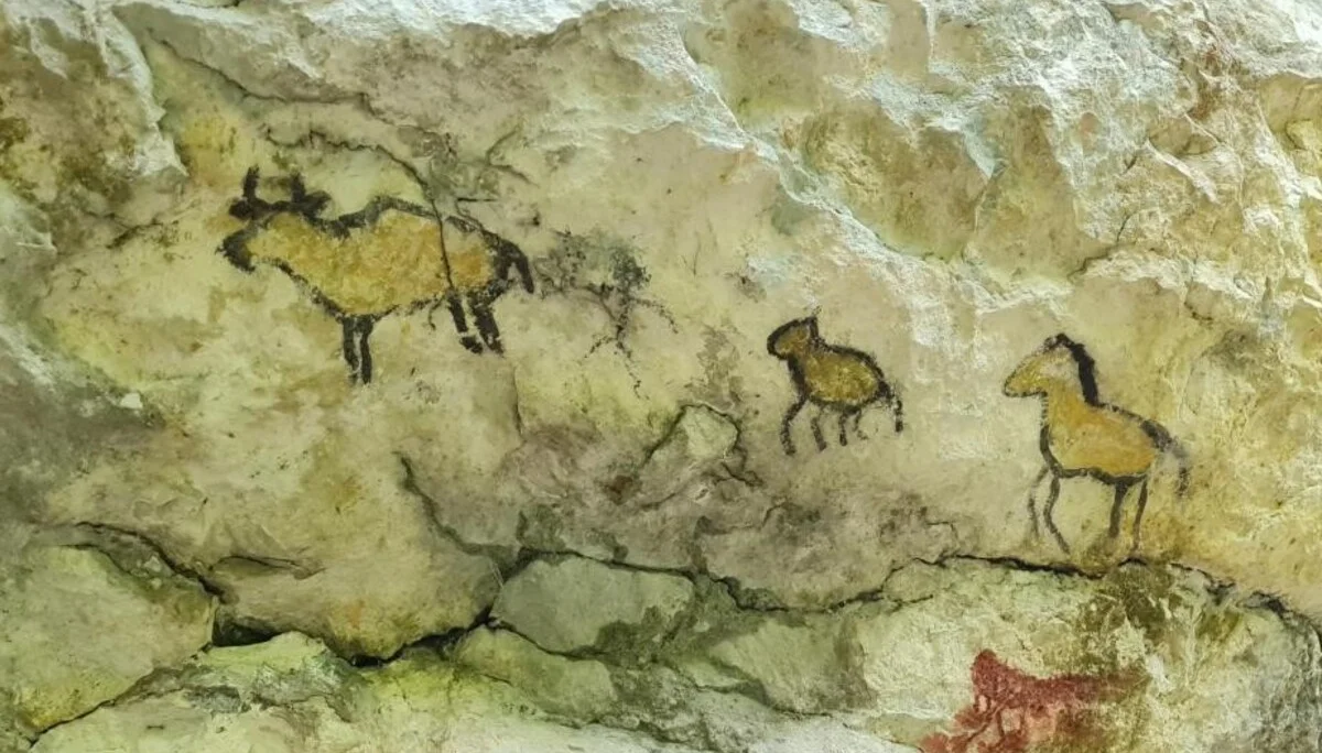 Höhlentour Schillerhöhle | © DAV Sigmaringen / Christoph Griesser