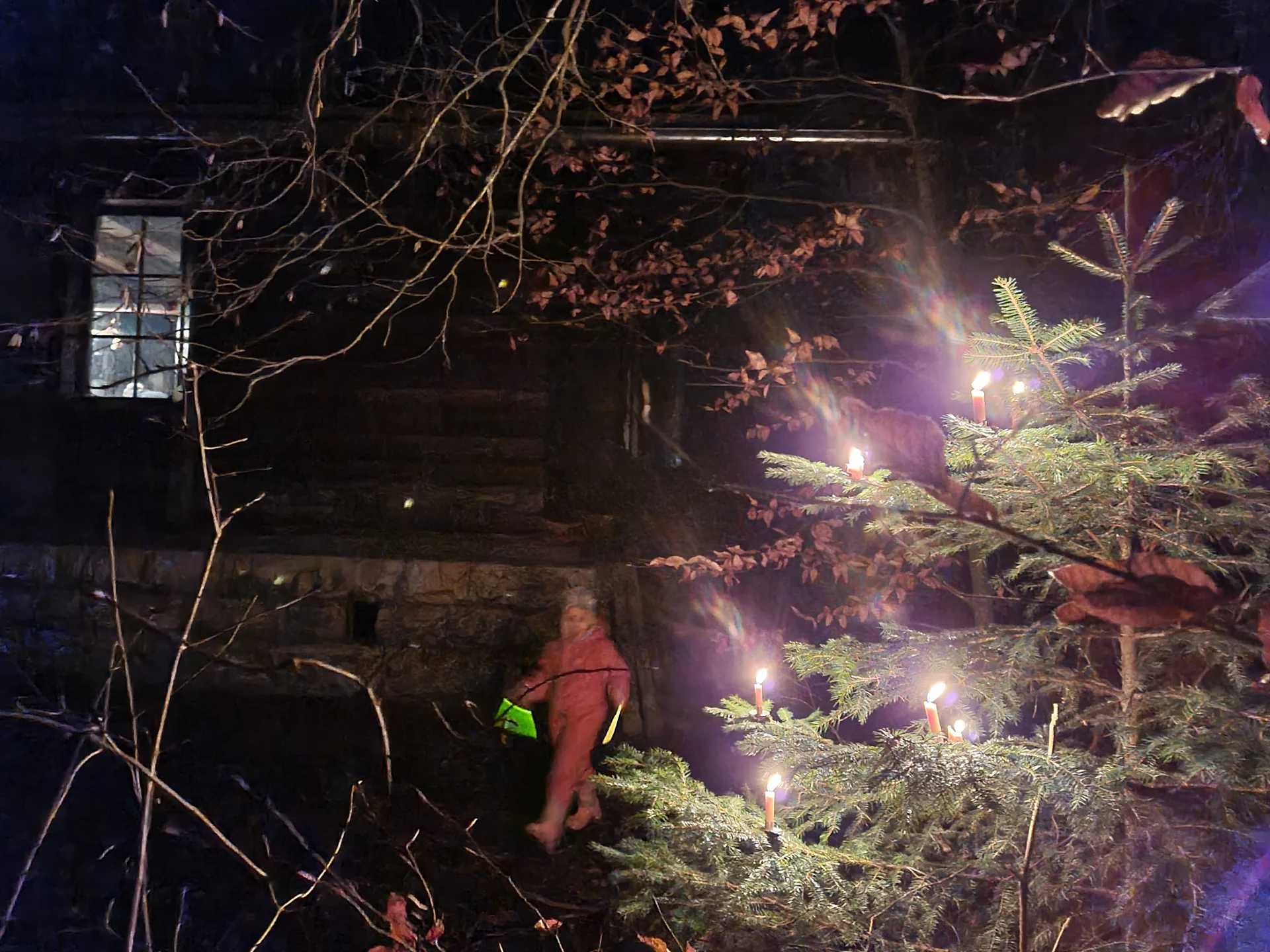 Waldweihnacht 2024 | © DAV Sigmaringen / Christoph Griesser