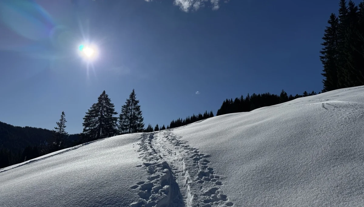 © DAV Sigmaringen / Dr. Uwe Weber