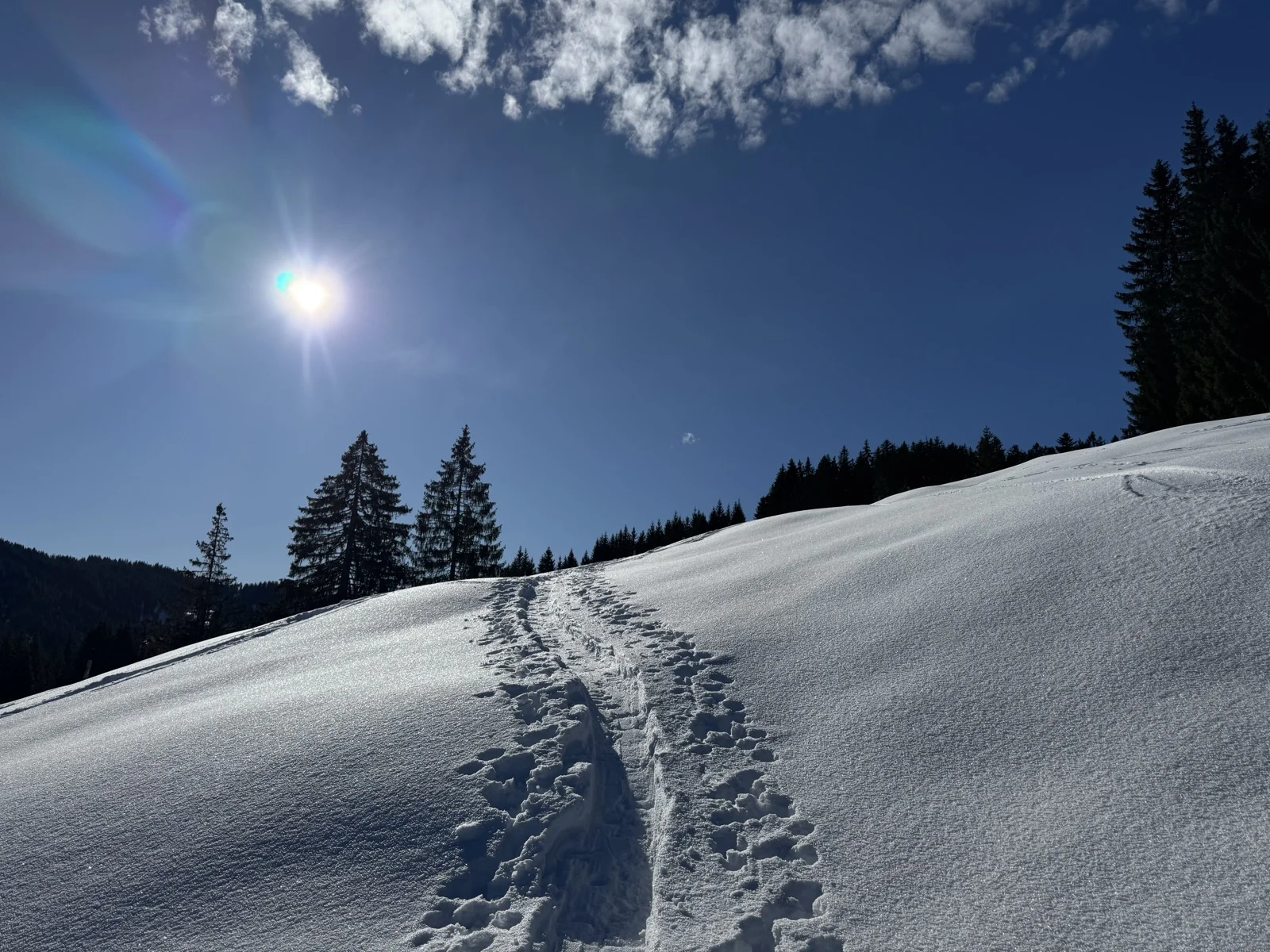 © DAV Sigmaringen / Dr. Uwe Weber