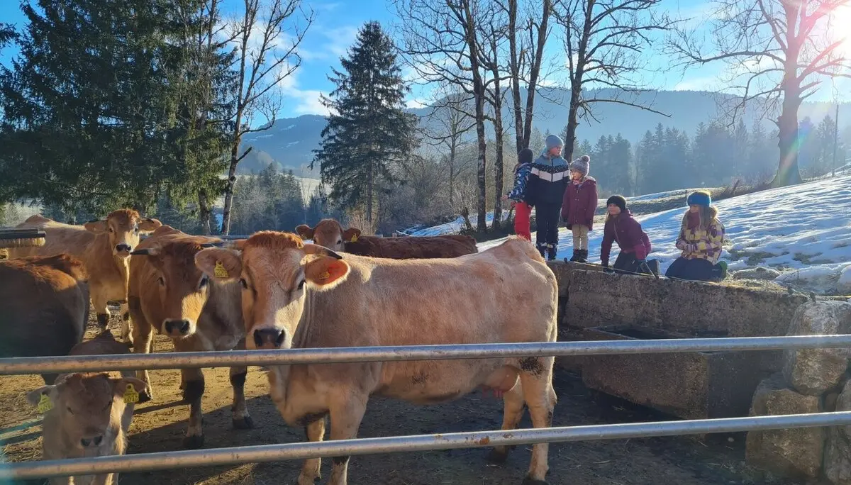 © DAV Sigmaringen / Christoph Griesser