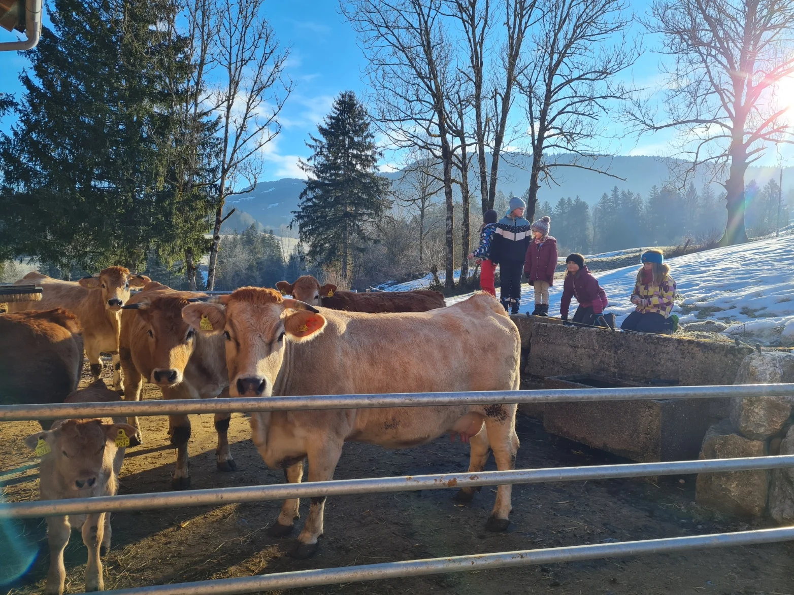 © DAV Sigmaringen / Christoph Griesser