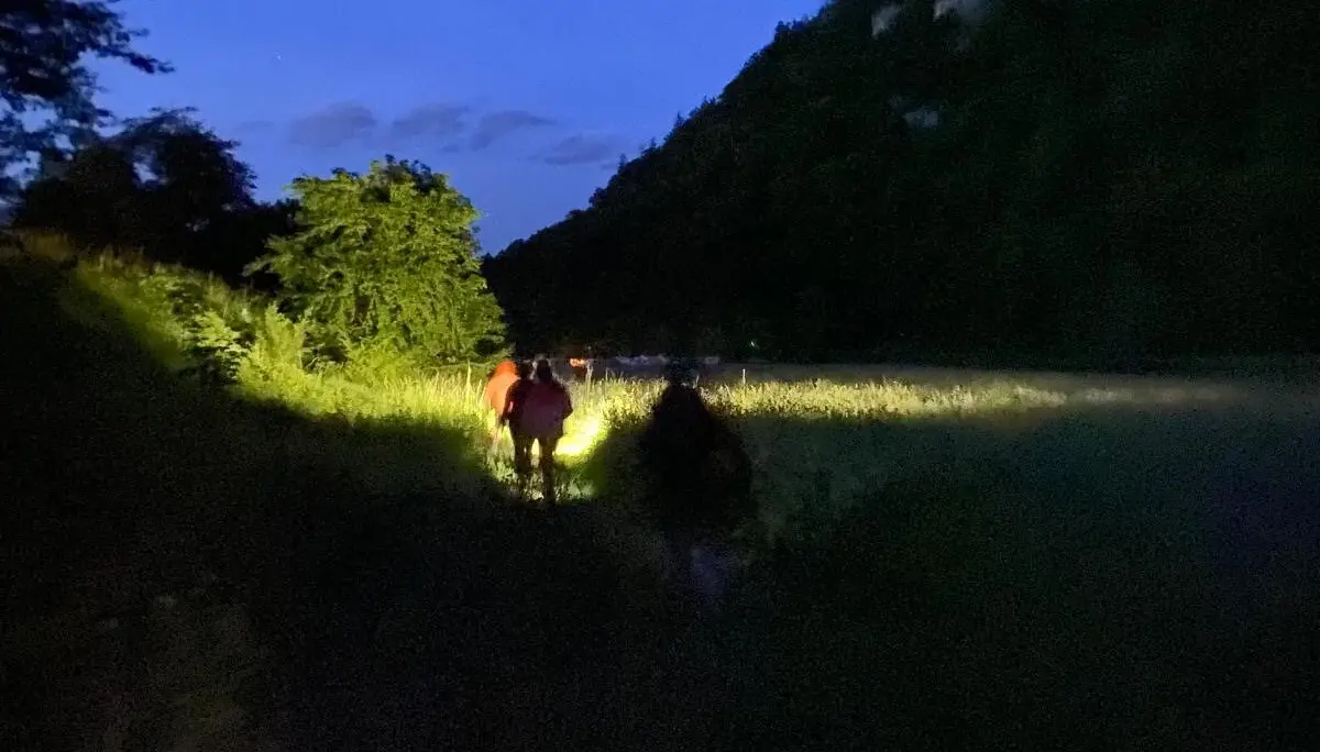 Nachtwanderung | © DAV