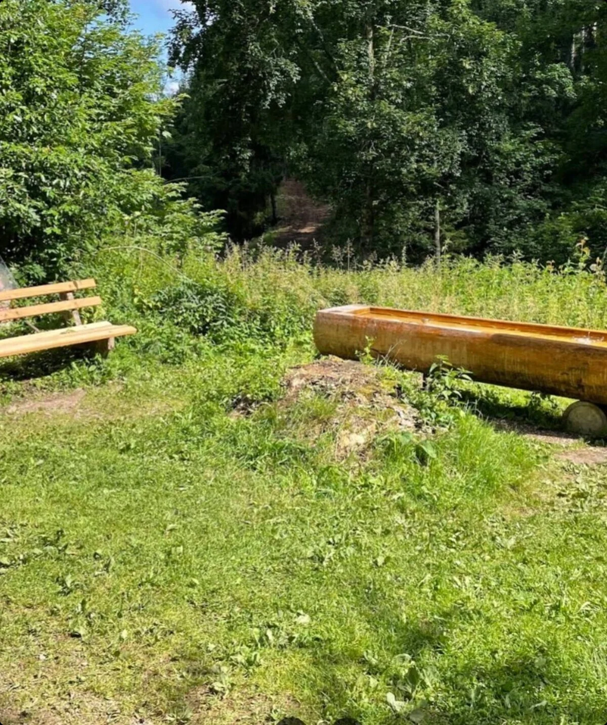 © DAV Sigmaringen, Markus Rebholz