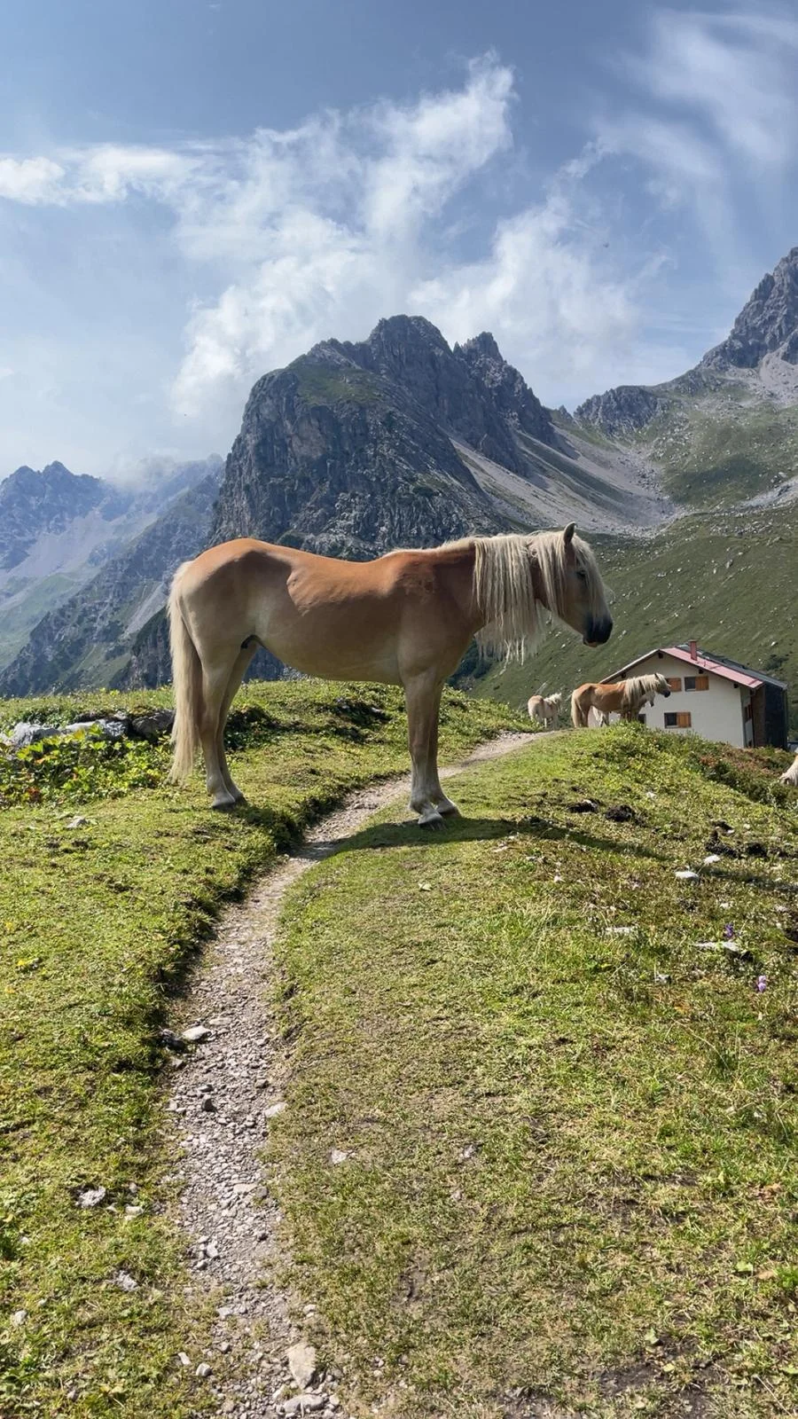 © DAV Sigmaringen / Marvin Engler