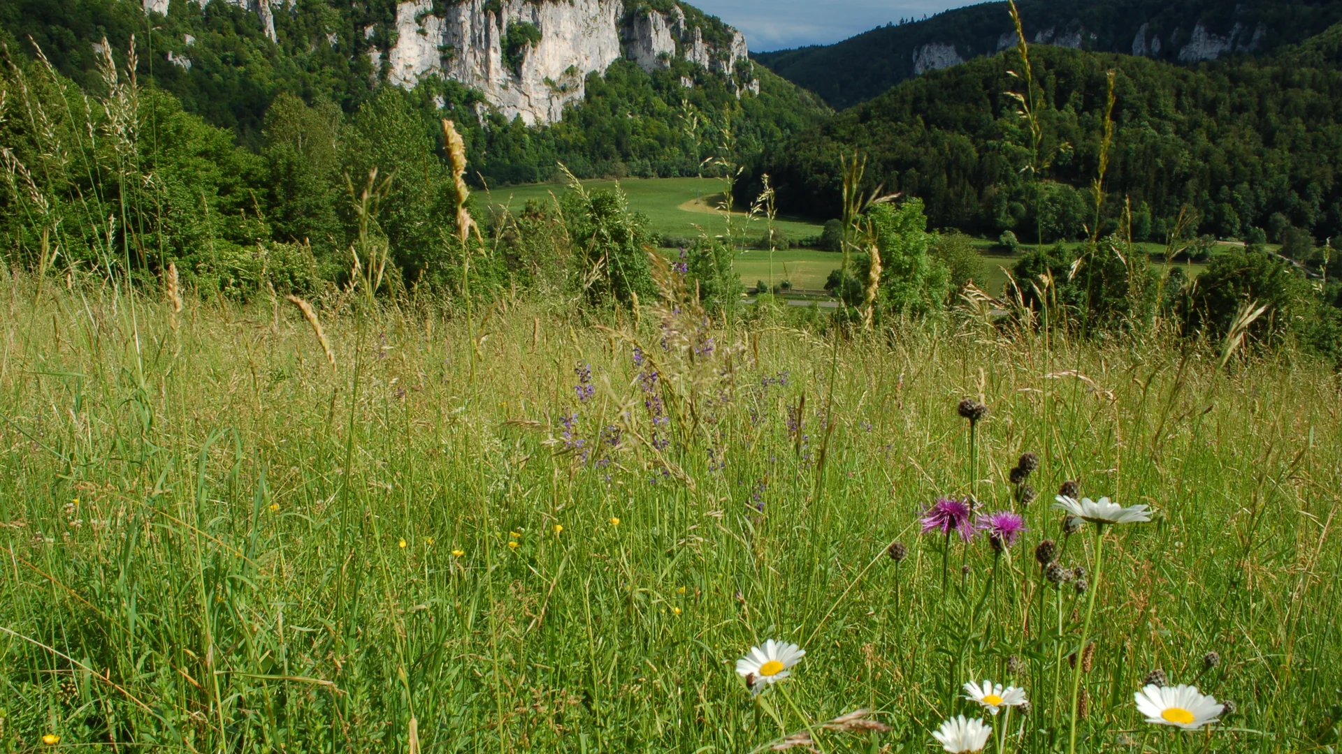 © DAV SIgmaringen, Markus Rebholz © DAV SIgmaringen, Markus Rebholz