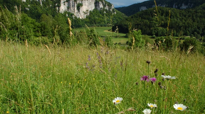 © DAV SIgmaringen, Markus Rebholz