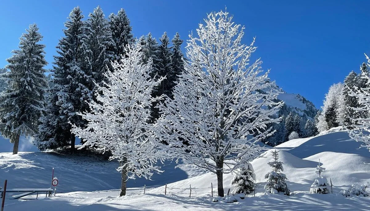 © DAV Sigmaringen / Regina Rebholz