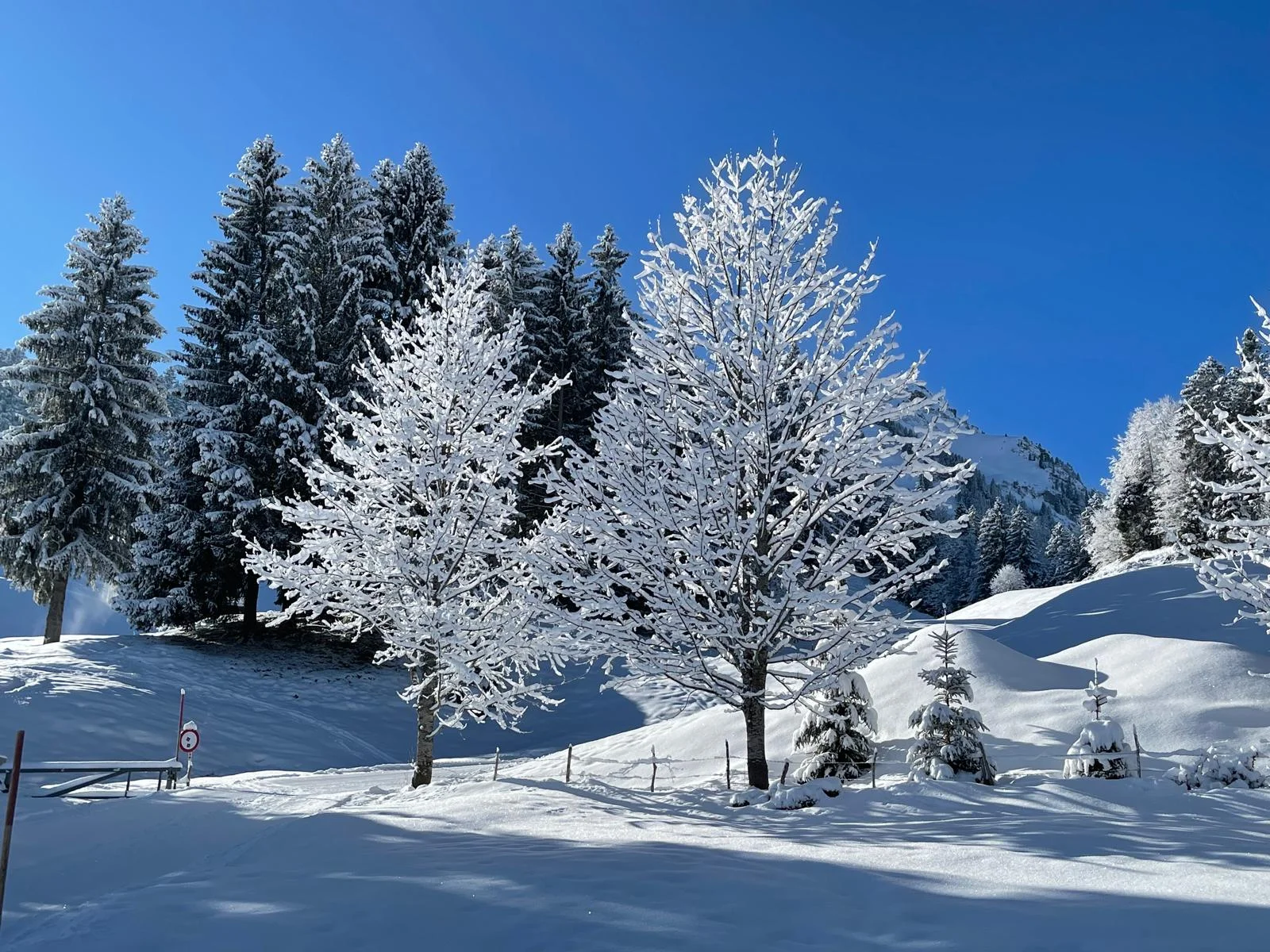 © DAV Sigmaringen / Regina Rebholz