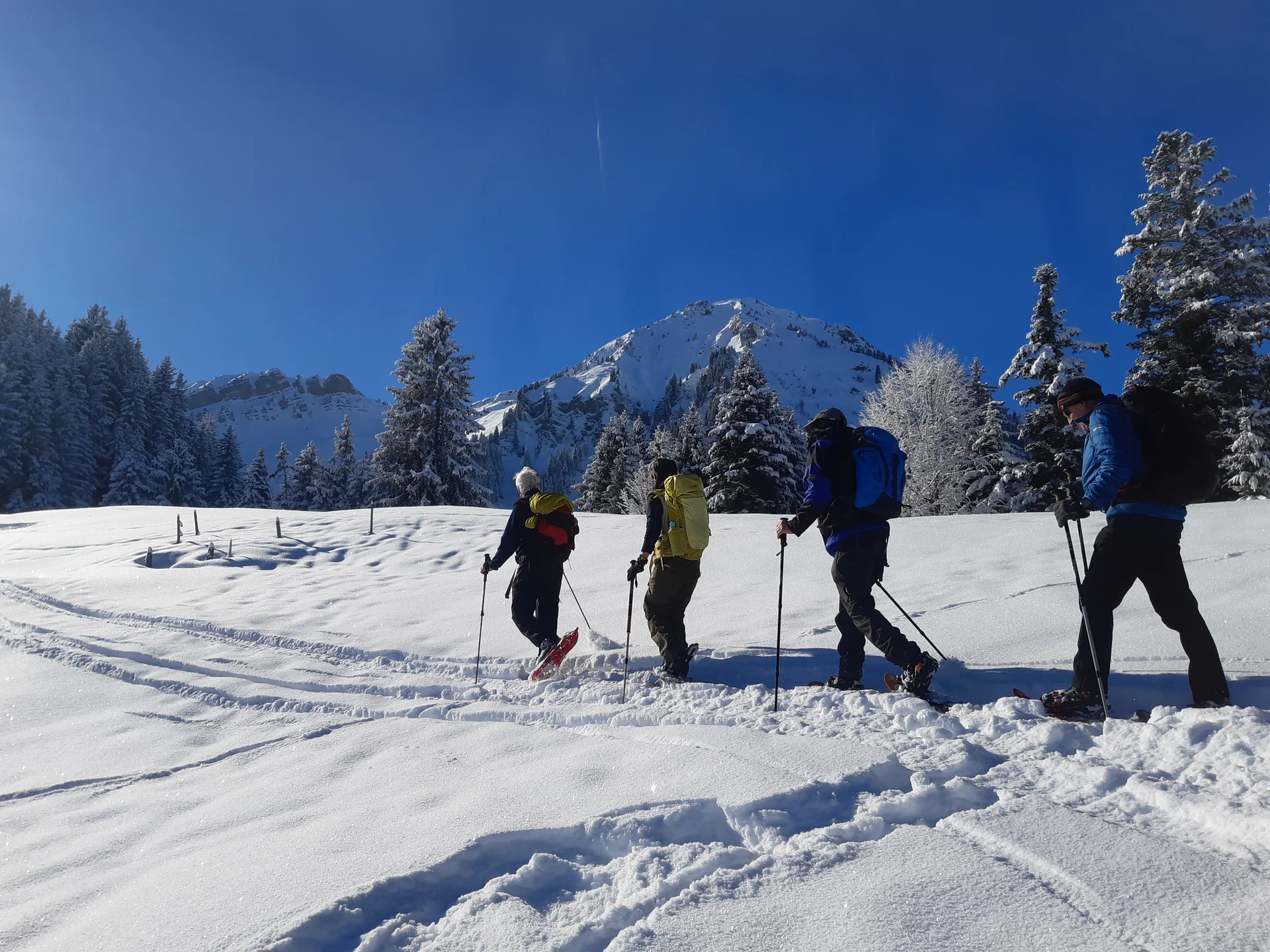 © DAV Sigmaringen / Regina Rebholz