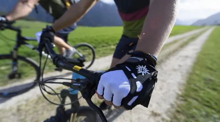Zwei Personen fahren mit ihren Mountainbikes durch die Natur. Im Hintergrund die Berge. | © DAV/Wolfgang Ehn