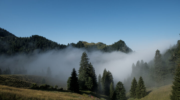 Baumgruppe im NebelEine Wandergruppe läuft durch ein nebelverhangenes Tal im Chiemgau. | © DAV/Hans Herbig
