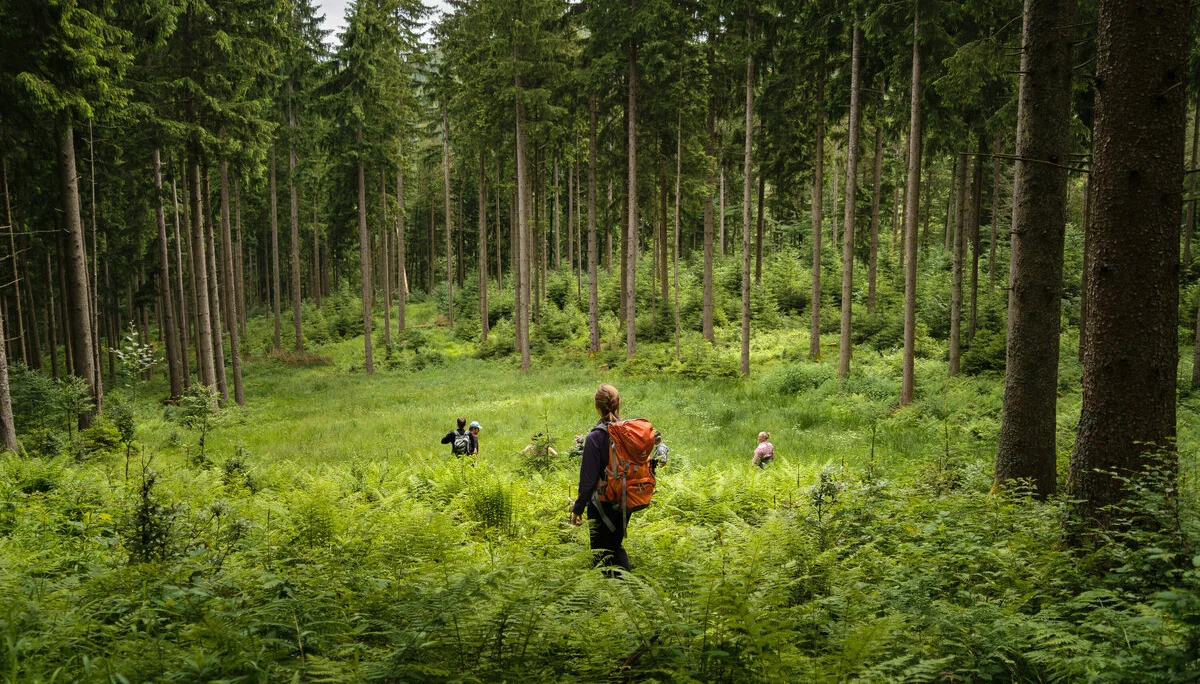 Aktion Schutzwald | © 	DAV/Arvid Uhlig